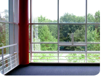 Custom Window Shades